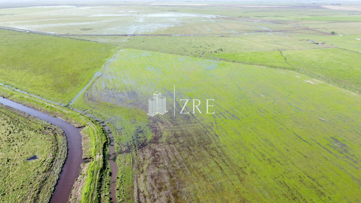 Campo Ref.734 - Venta campo agricola ganadero, Lascano Rocha 