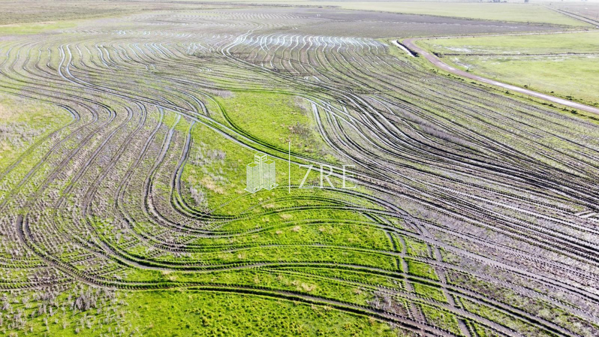 Campo Ref.734 - Venta campo agricola ganadero, Lascano Rocha 
