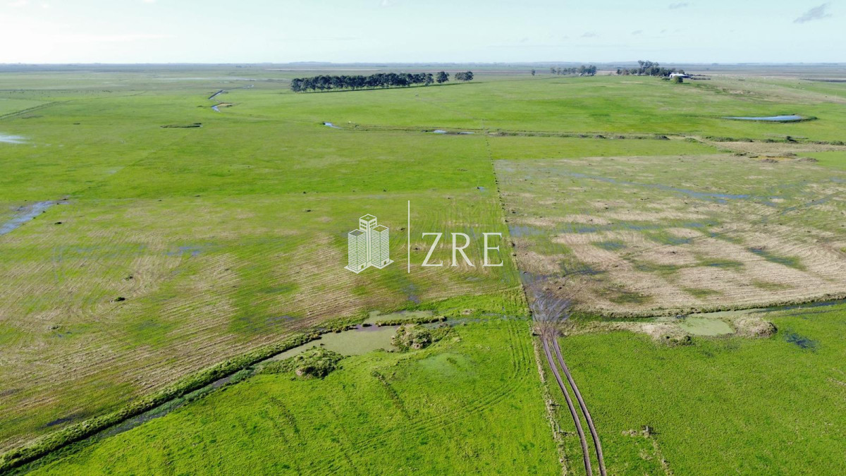 Campo Ref.734 - Venta campo agricola ganadero, Lascano Rocha 