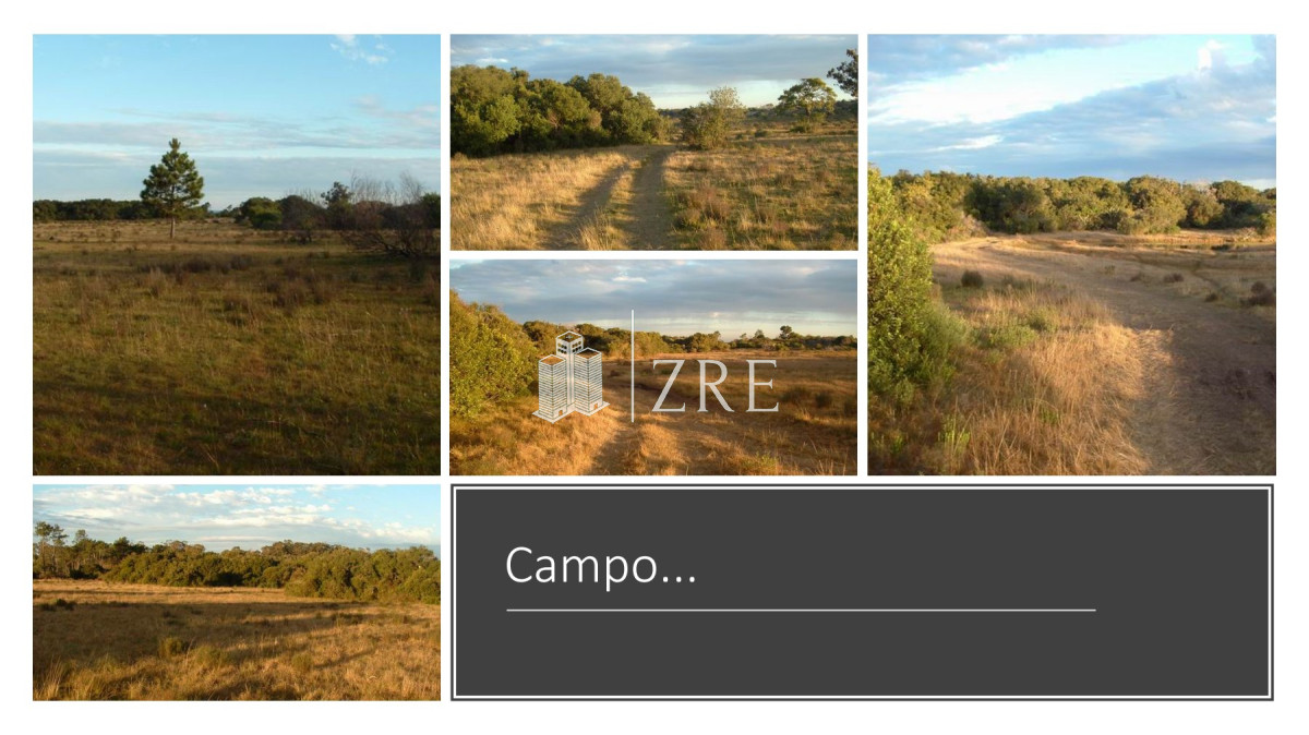 Campo Ref.254 - Venta campo 117 hectáreas sobre río de la plata  