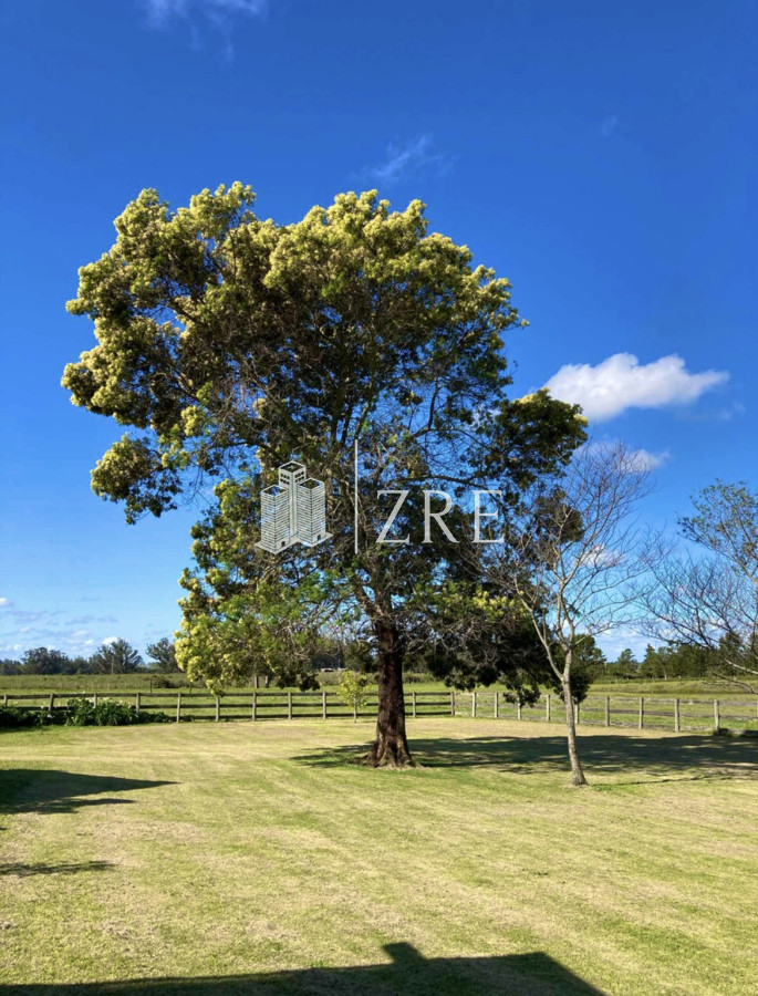 Campo Ref.43 - Chacra Venta