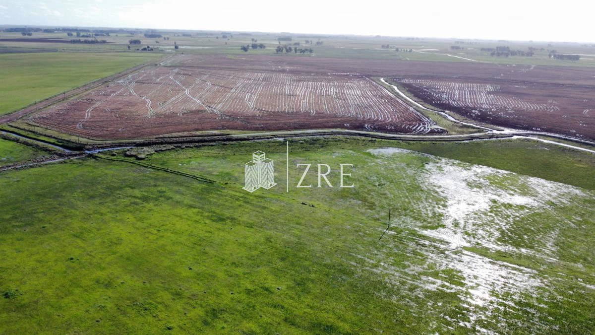 Campo Ref.734 - Venta campo agricola ganadero, Lascano Rocha 