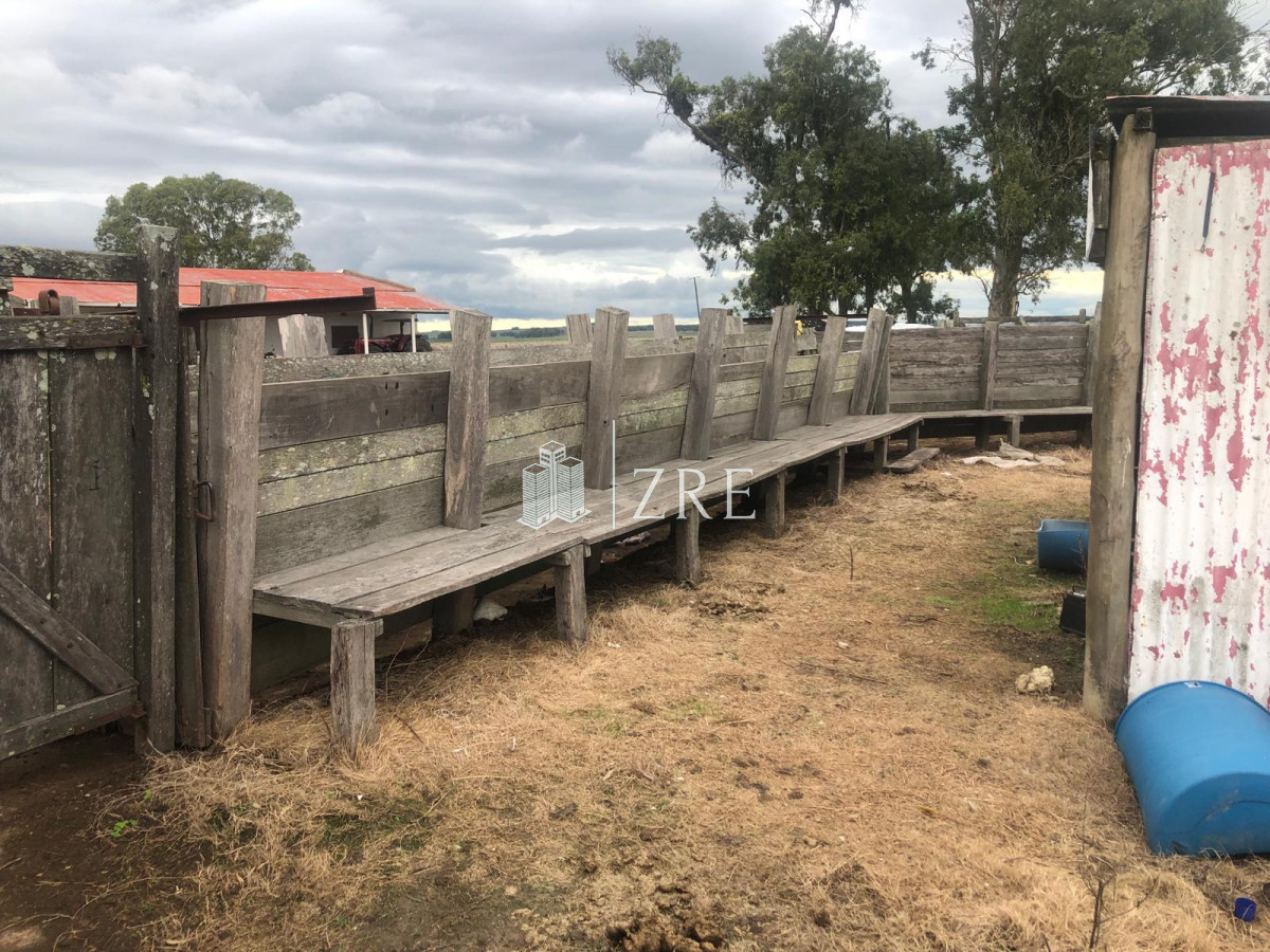 Campo Ref.734 - Venta campo agricola ganadero, Lascano Rocha 