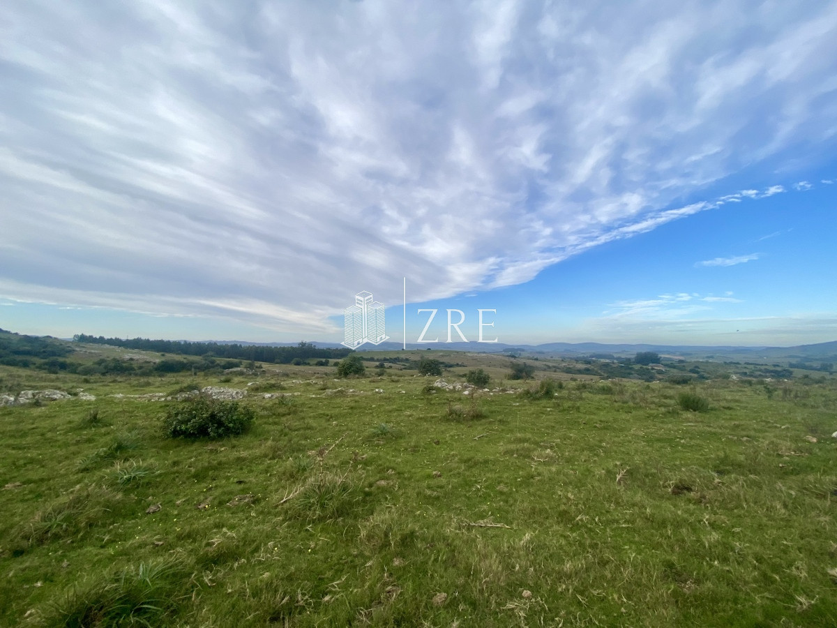 Campo Ref.739 - Venta campo 261 hectareas. Ruta 12 Maldonado. 
