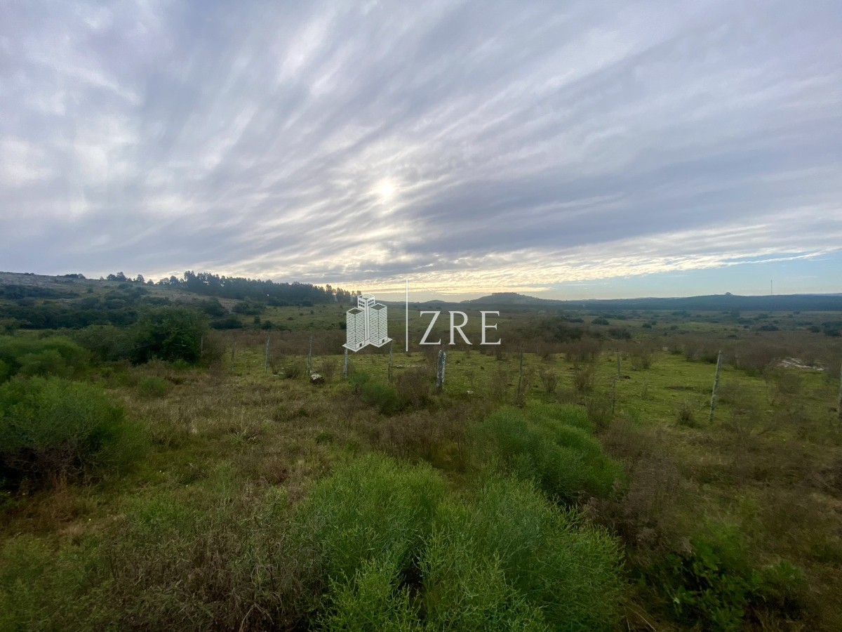 Campo Ref.739 - Venta campo 261 hectareas. Ruta 12 Maldonado. 