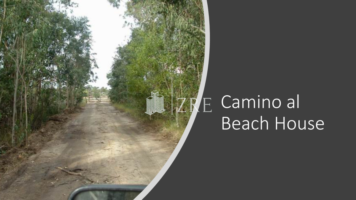 Campo Ref.254 - Venta campo 117 hectáreas sobre río de la plata  