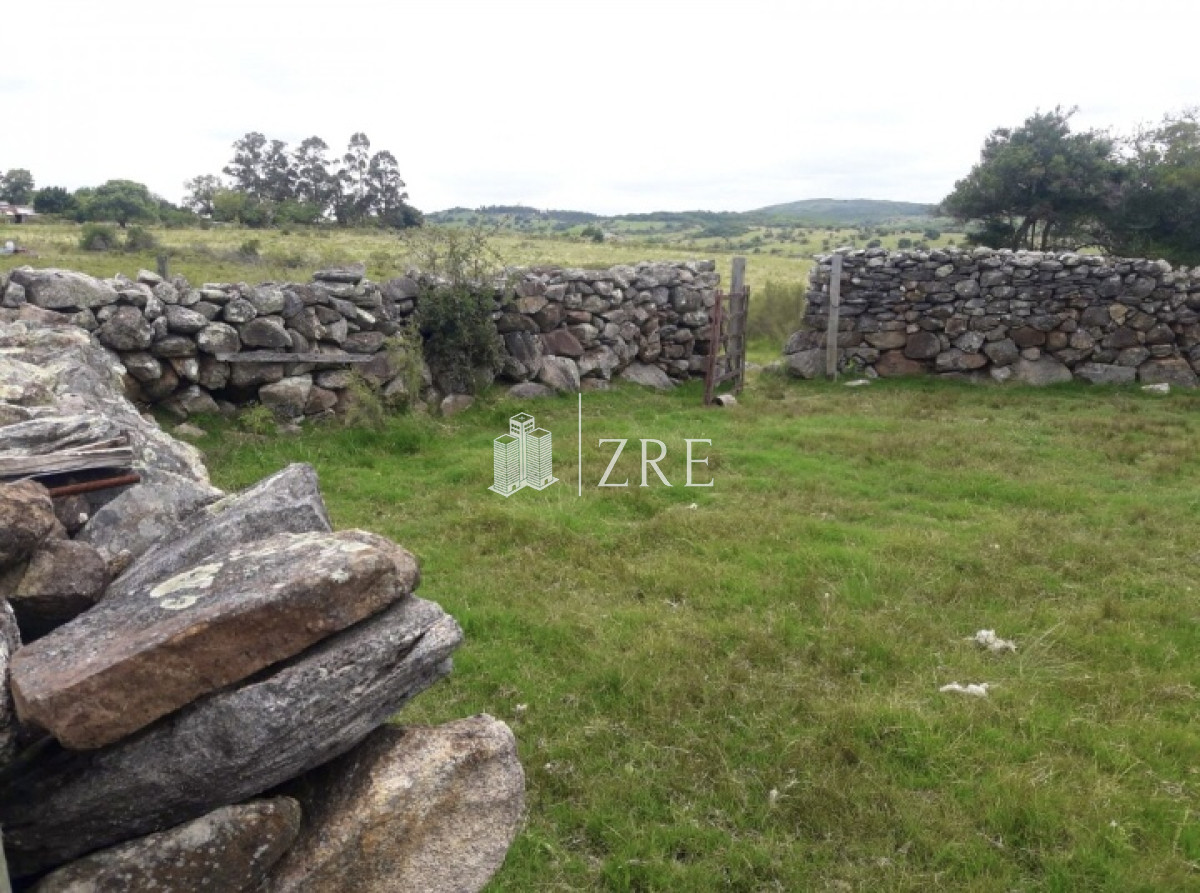 Campo Ref.108 - Venta 47has con casa, costa de arroyo y 5 tajamares