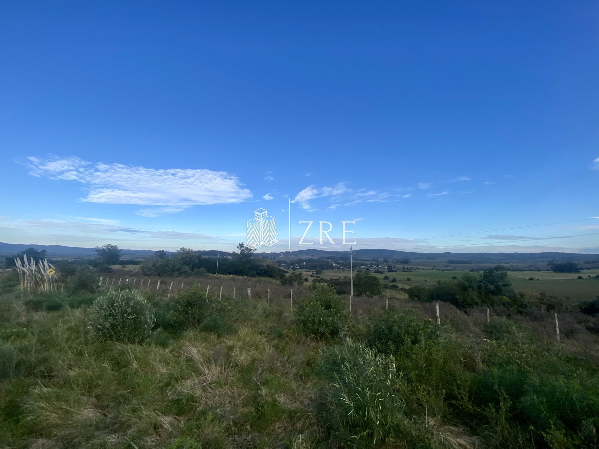 Campo Ref.739 - Venta campo 261 hectareas. Ruta 12 Maldonado. 