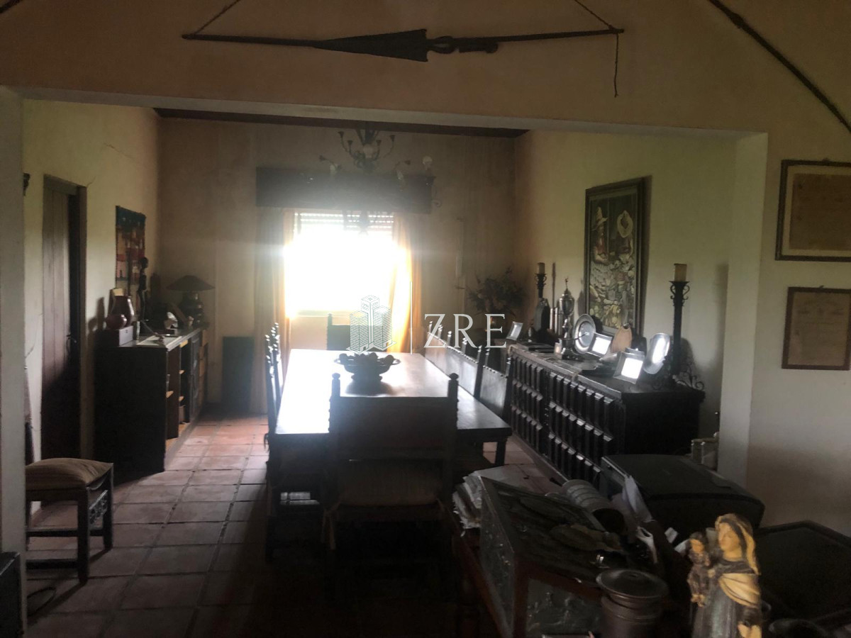 Campo Ref.734 - Venta campo agricola ganadero, Lascano Rocha 
