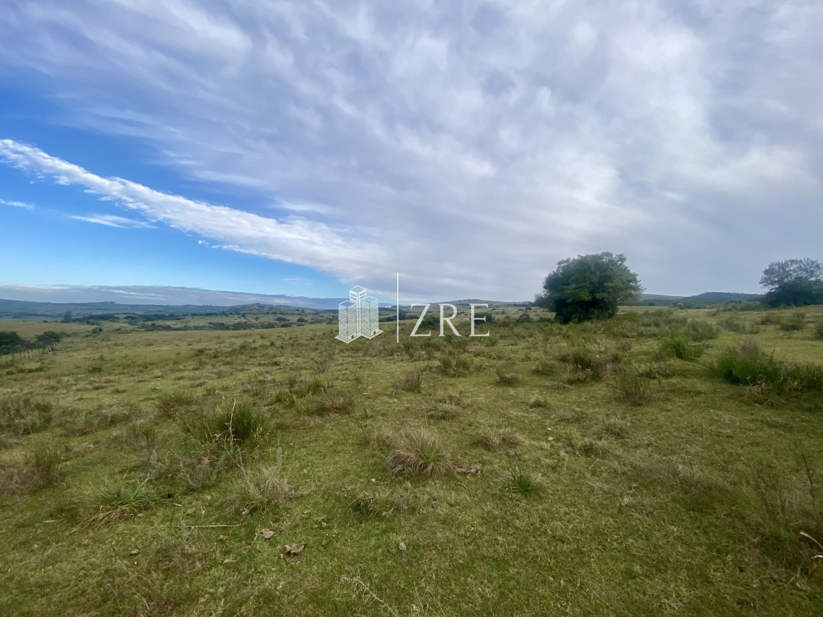 Campo Ref.739 - Venta campo 261 hectareas. Ruta 12 Maldonado. 