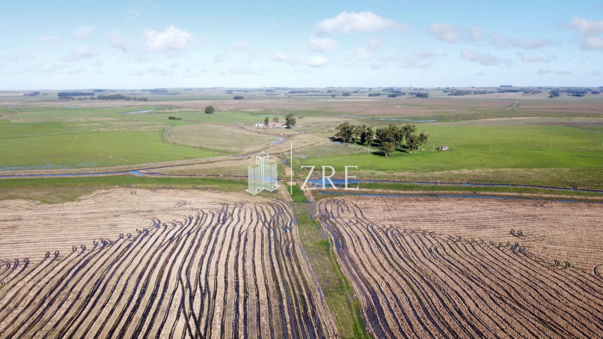 Campo Ref.734 - Venta campo agricola ganadero, Lascano Rocha 