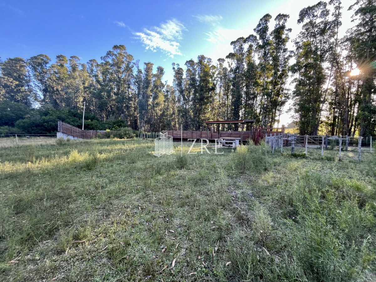 Campo Ref.780 - Venta campo 133 hectáreas. 