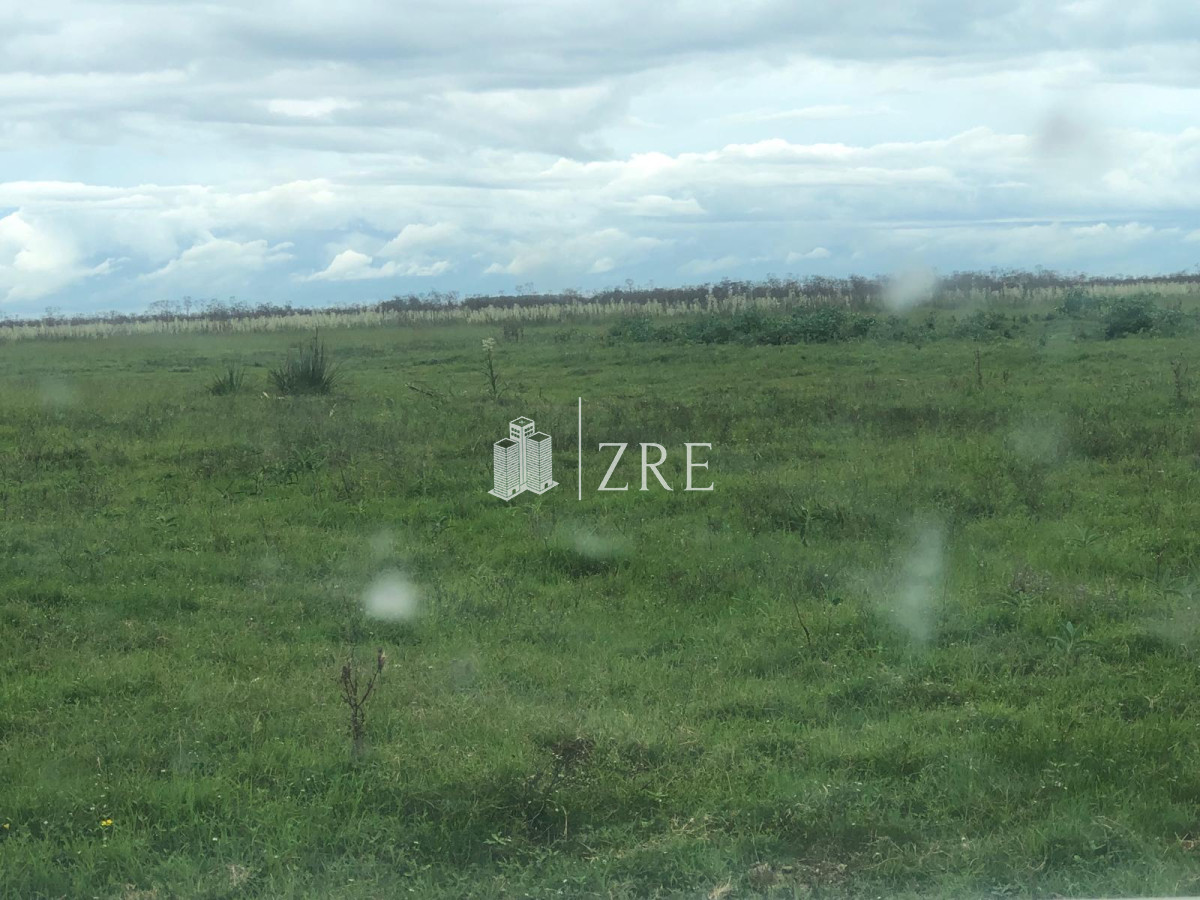 Campo Ref.734 - Venta campo agricola ganadero, Lascano Rocha 