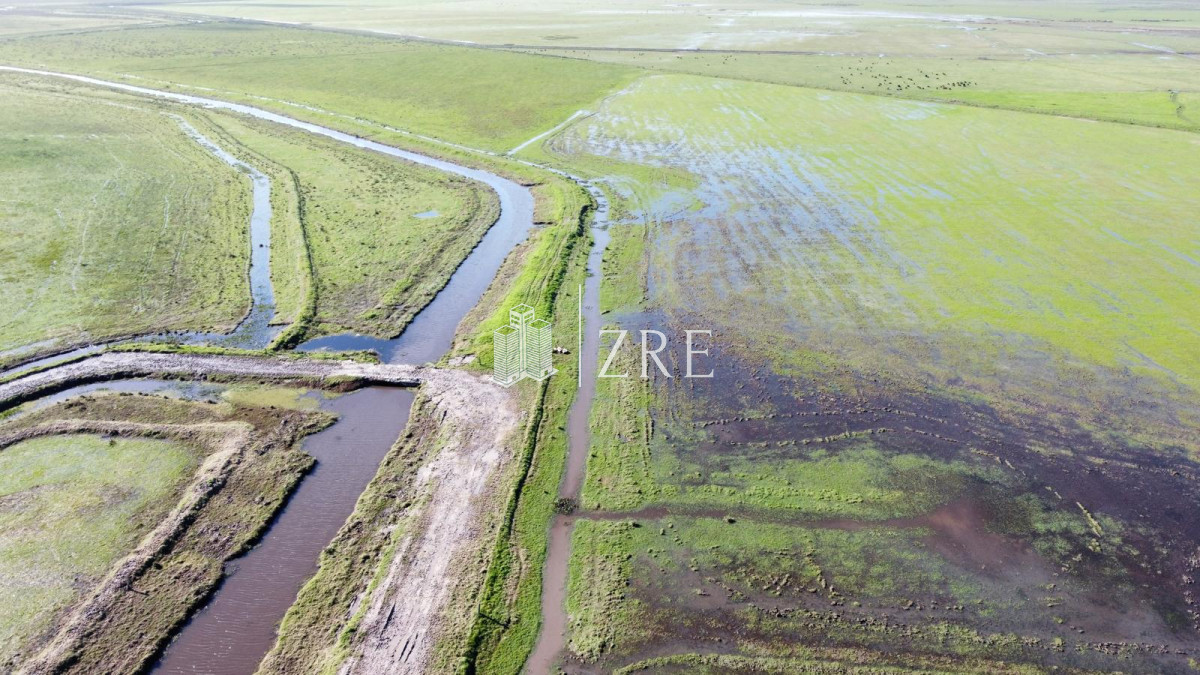 Campo Ref.734 - Venta campo agricola ganadero, Lascano Rocha 