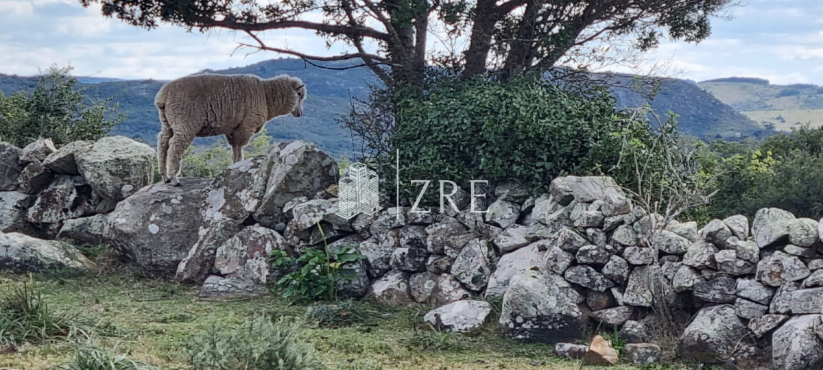 Campo Ref.108 - Venta 47has con casa, costa de arroyo y 5 tajamares