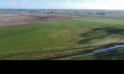 Venta campo agricola ganadero, Lascano Rocha