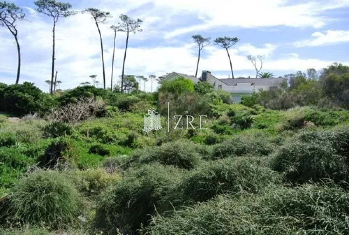 Terreno ID.214 - Venta terreno primera línea playa manas Punta del Este 