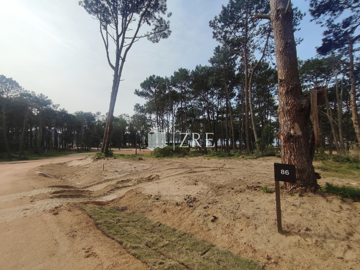 Terreno ID.170 - Venta terreno en reserva montoya, La barra