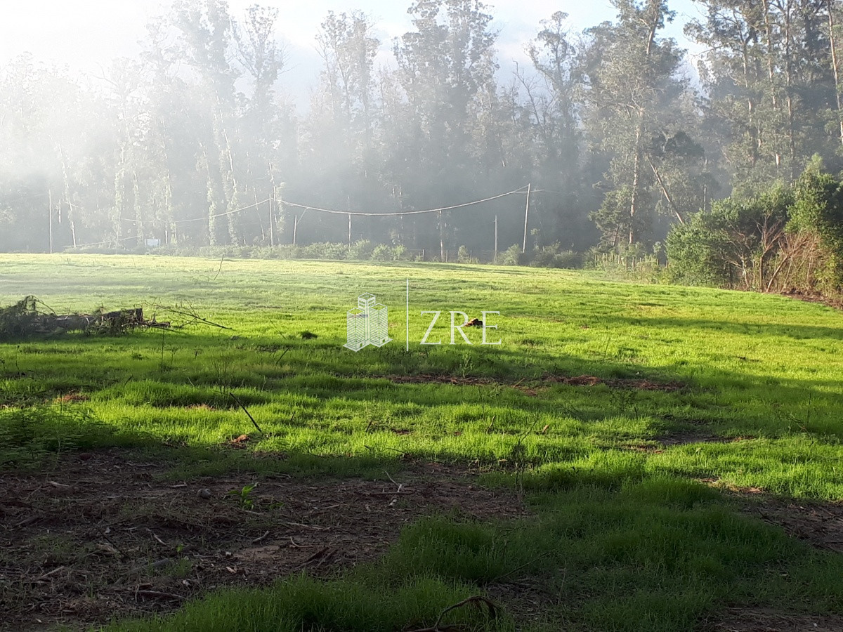 Terreno ID.529 - Venta  Terreno en Rincón del Indio - Punta del Este