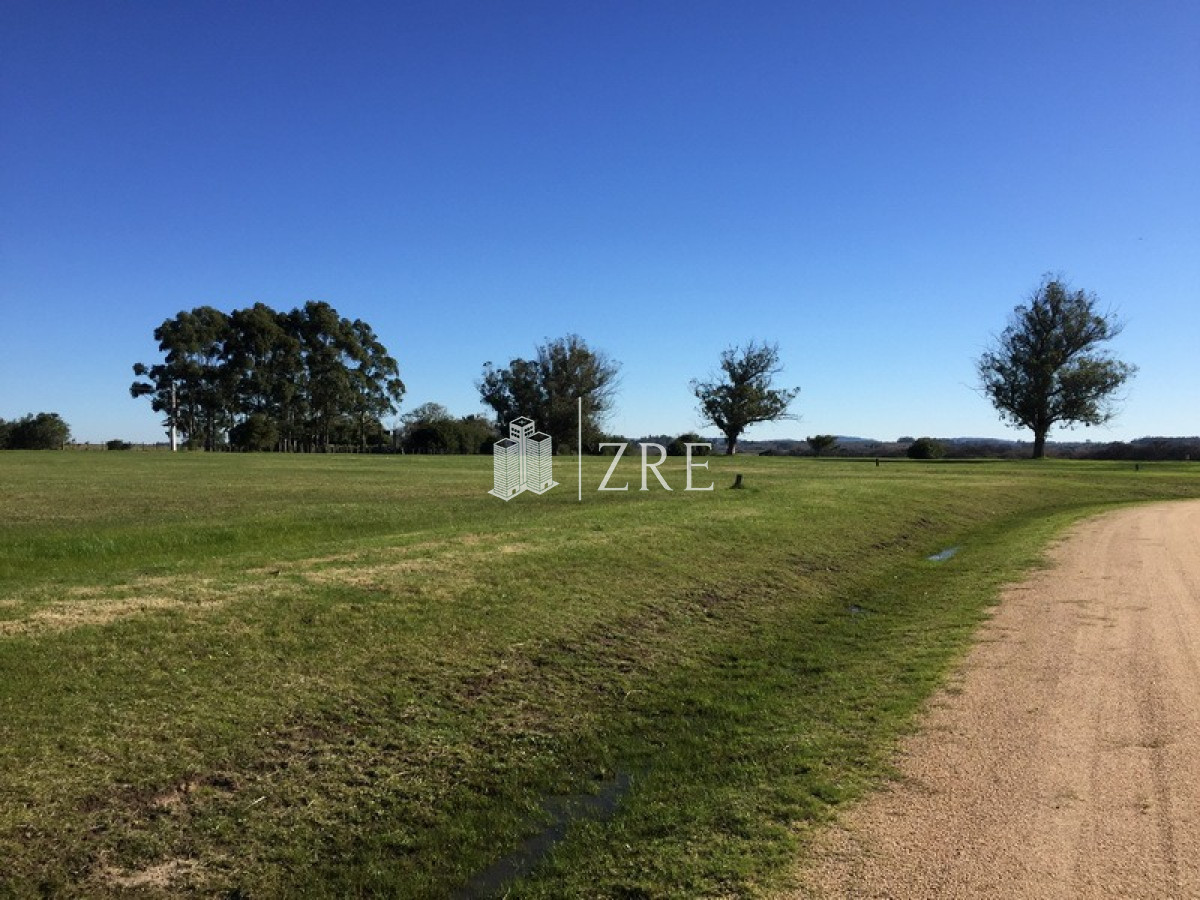 Terreno ID.139 - Venta Terreno - 5000 mts - El Quijote 