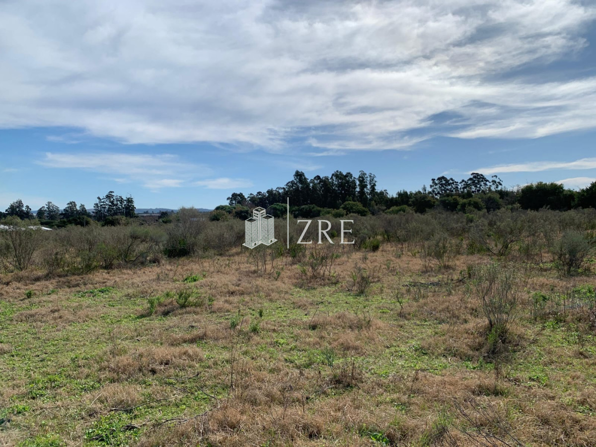 Terreno ID.567 - Venta Terreno en Maldonado, San Carlos 