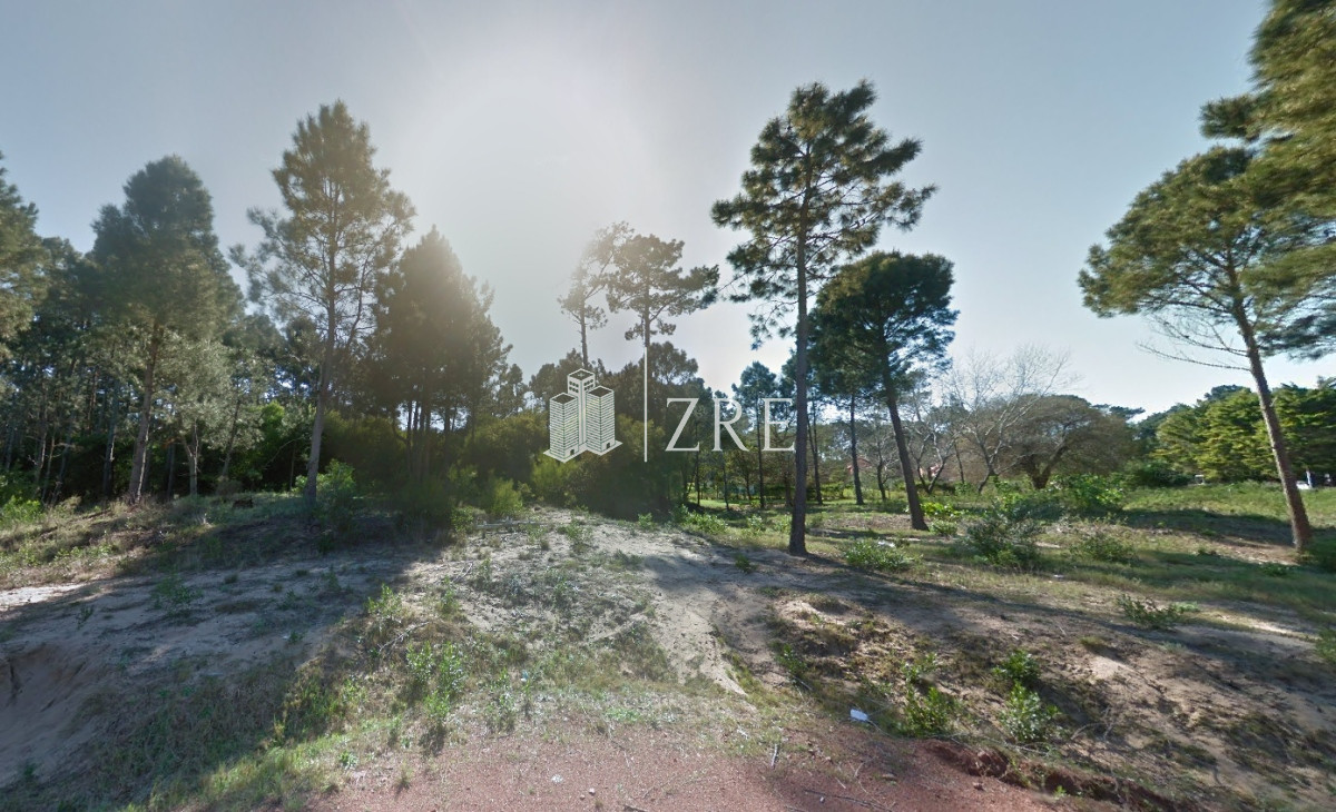 Terreno ID.726 - VENTA OPORTUNIDAD PARA DESARROLLO - BURNET