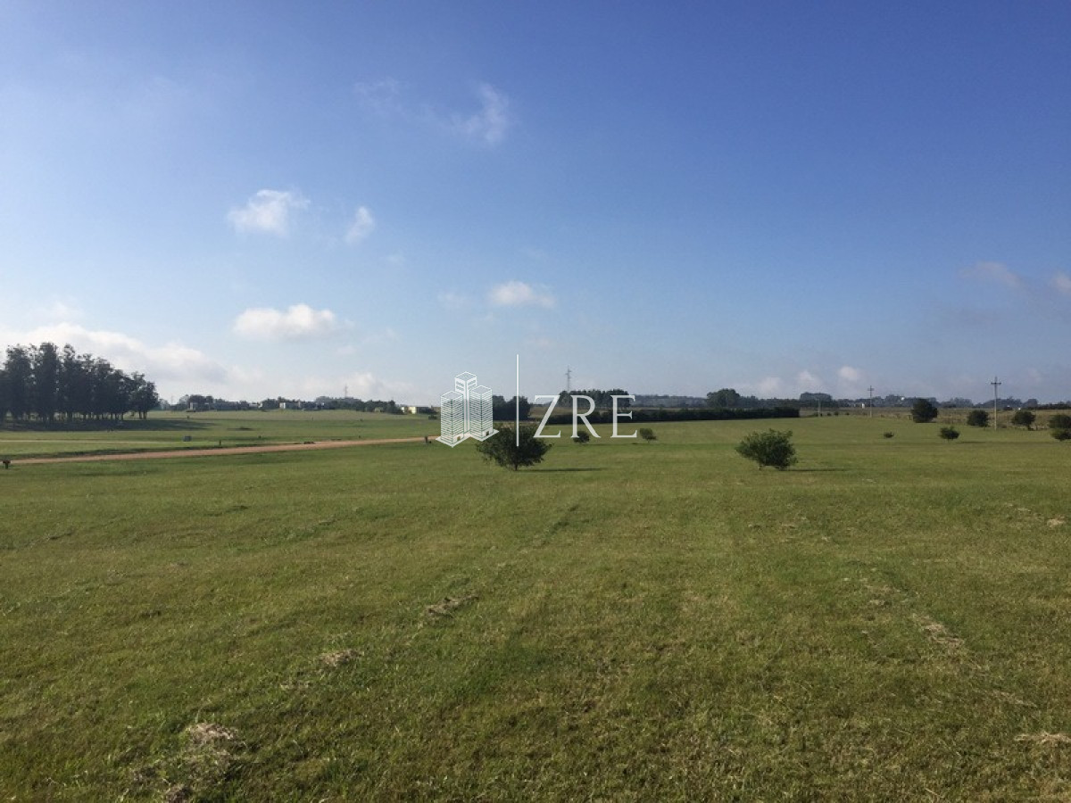 Terreno ID.139 - Venta Terreno - 5000 mts - El Quijote 