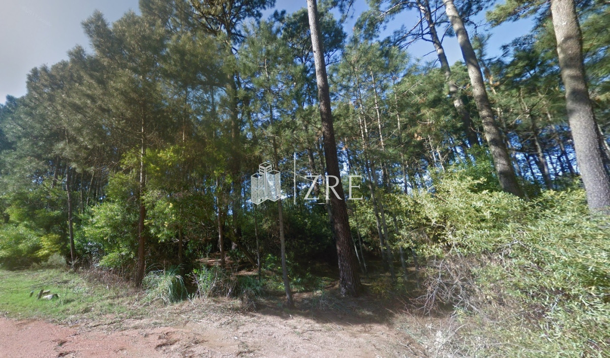 Terreno ID.726 - VENTA OPORTUNIDAD PARA DESARROLLO - BURNET