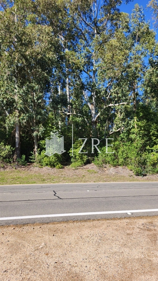 Terreno ID.746 - Venta terreno 