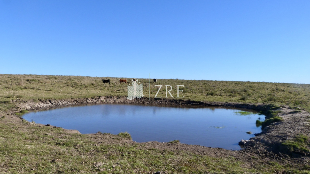 Terreno ID.478 - Venta Terreno - Ruta 39 