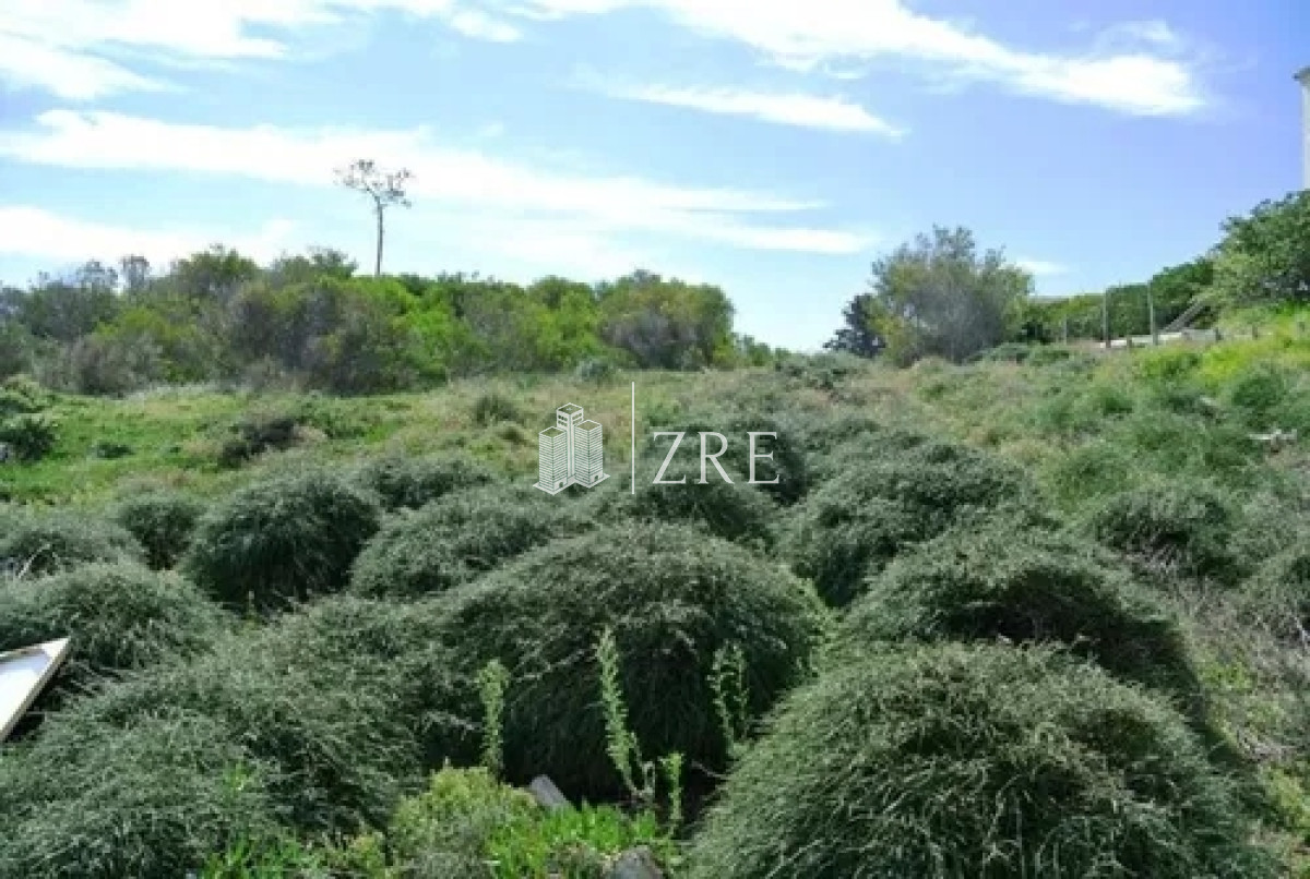 Terreno ID.214 - Venta terreno primera línea playa manas Punta del Este 