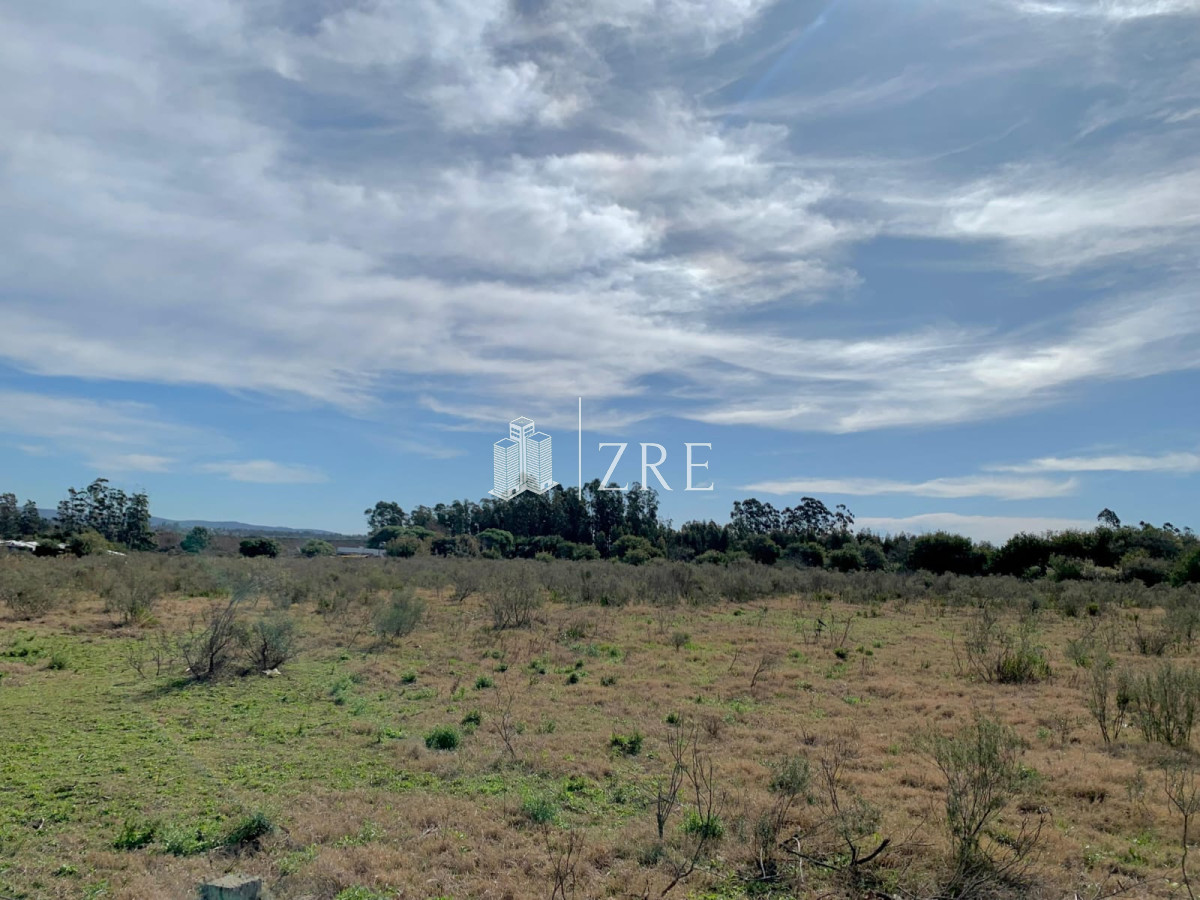 Terreno ID.567 - Venta Terreno en Maldonado, San Carlos 