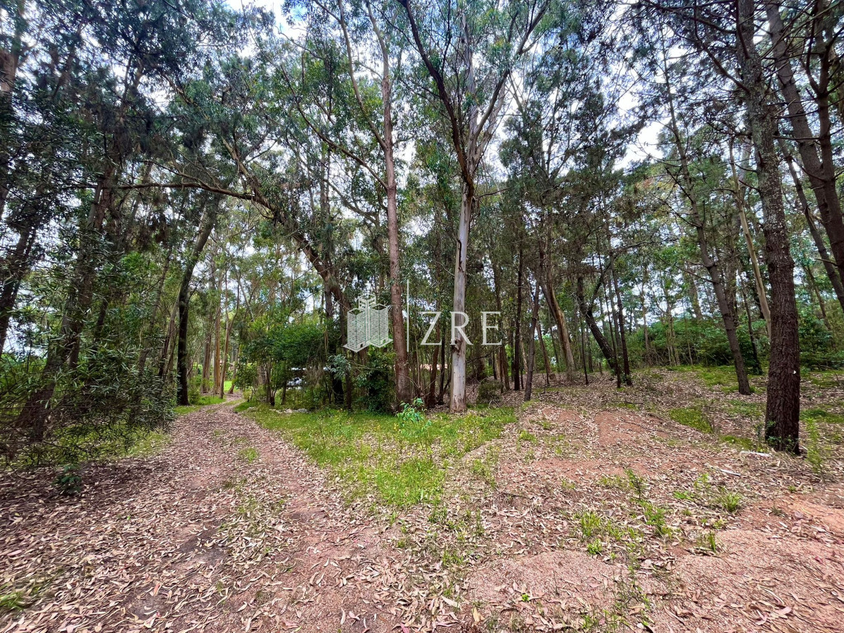 Terreno ID.692 - Venta Terreno