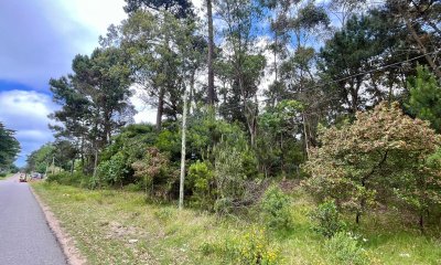 Venta Terreno