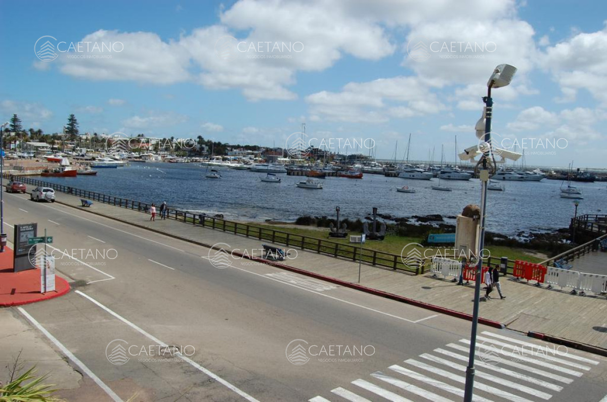 Puerto - GoPunta - Portal Inmobiliario de Punta del Este - Maldonado