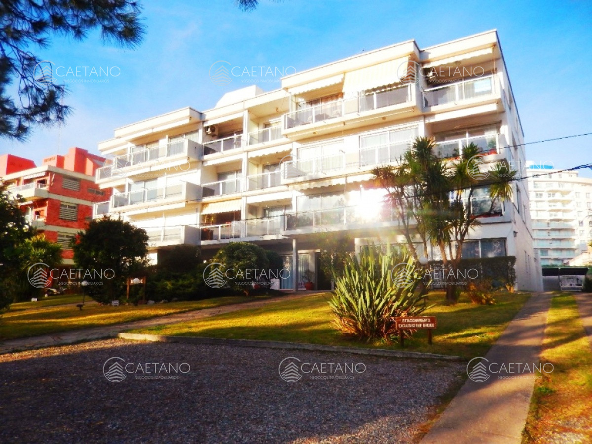 Aidy Grill - GoPunta - Portal Inmobiliario de Punta del Este - Maldonado