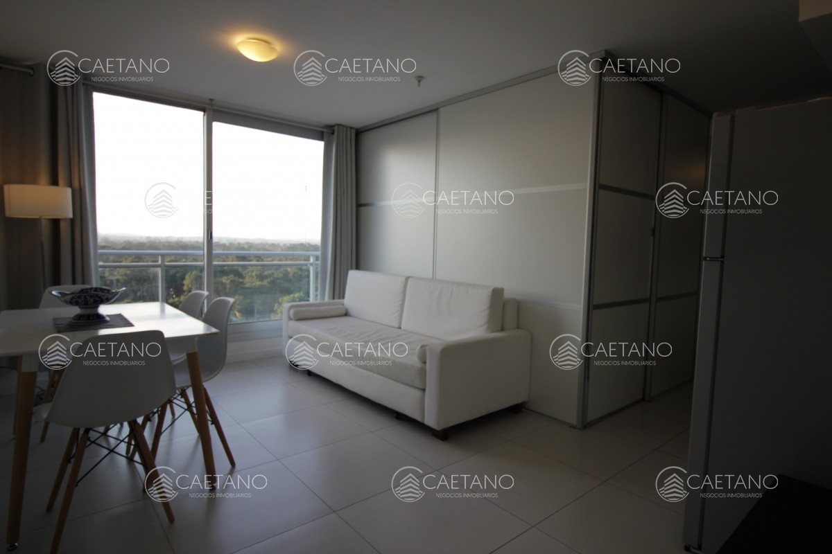 Vendo apartamento de 1 dormitorio, piso alto, en zona Roosevelt, Punta del Este.