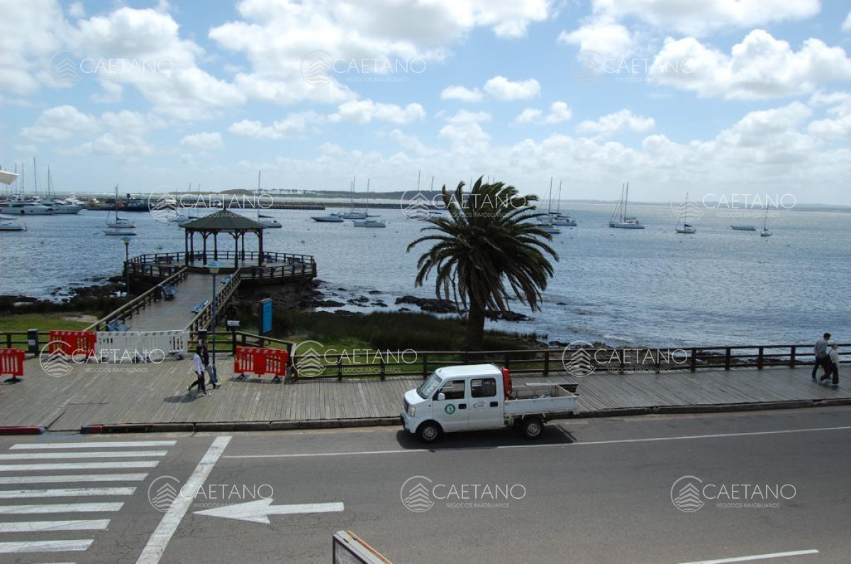 Puerto - GoPunta - Portal Inmobiliario de Punta del Este - Maldonado