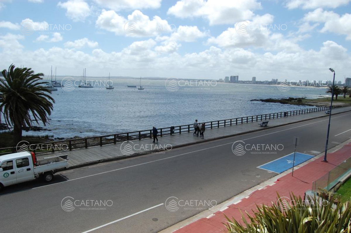 Puerto - GoPunta - Portal Inmobiliario de Punta del Este - Maldonado