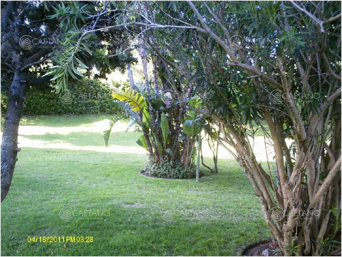 Aidy Grill - GoPunta - Portal Inmobiliario de Punta del Este - Maldonado