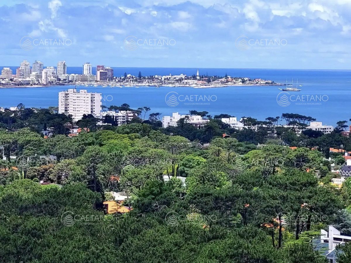 Roosevelt - GoPunta - Portal Inmobiliario de Punta del Este - Maldonado