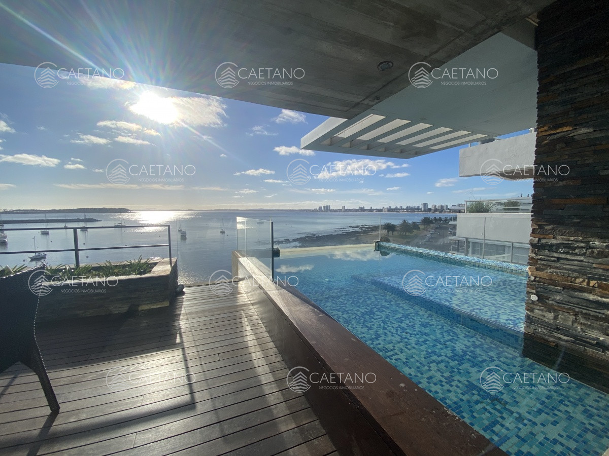 Puerto - GoPunta - Portal Inmobiliario de Punta del Este - Maldonado