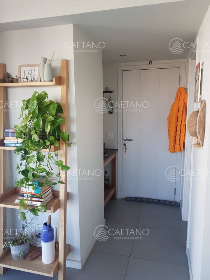 Aidy Grill - GoPunta - Portal Inmobiliario de Punta del Este - Maldonado