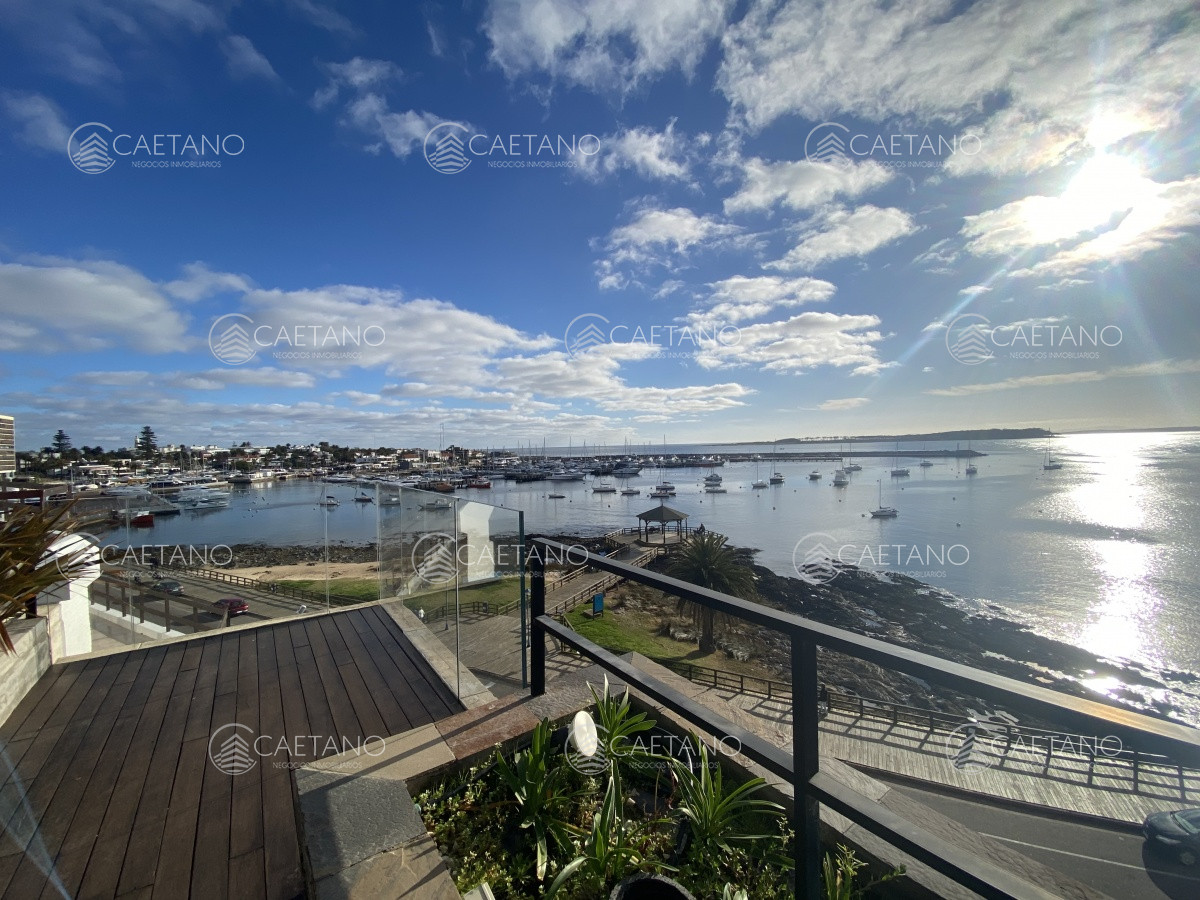 Puerto - GoPunta - Portal Inmobiliario de Punta del Este - Maldonado