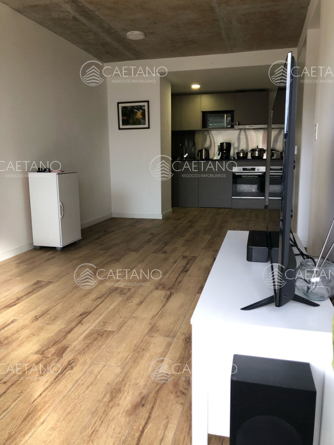 Punta del Este - GoPunta - Portal Inmobiliario de Punta del Este - Maldonado