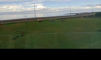 Venta apartamento 2 dormitorios Punta del Este