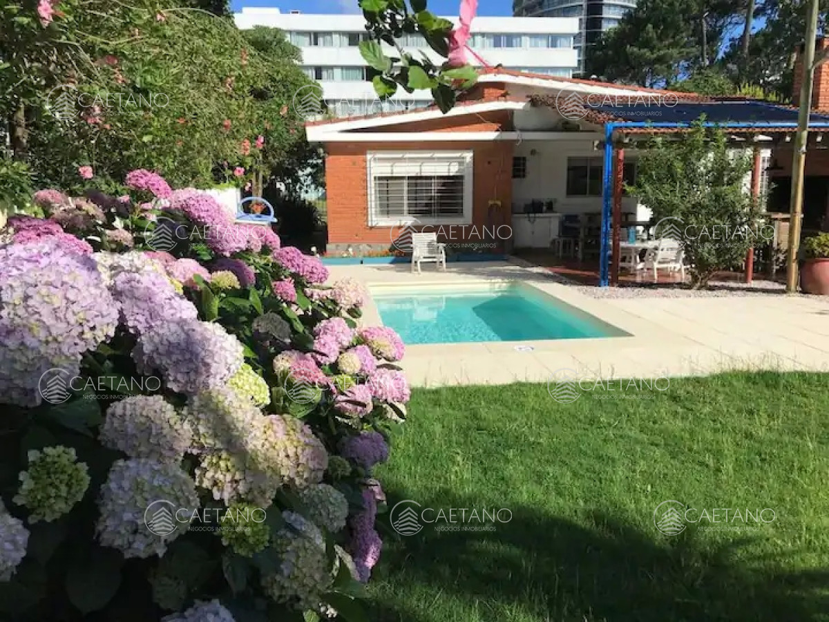 Punta del Este - GoPunta - Portal Inmobiliario de Punta del Este - Maldonado