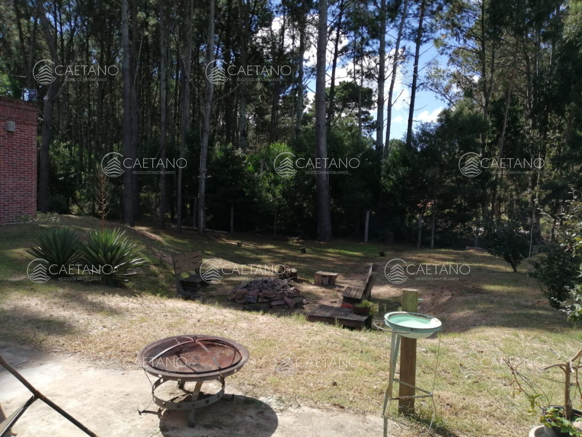 Pinares - GoPunta - Portal Inmobiliario de Punta del Este - Maldonado
