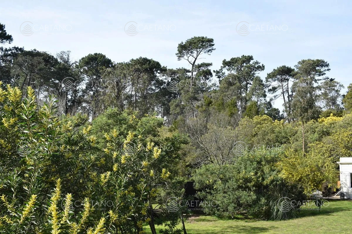 Jardines de Cu00f3rdoba - GoPunta - Portal Inmobiliario de Punta del Este - Maldonado