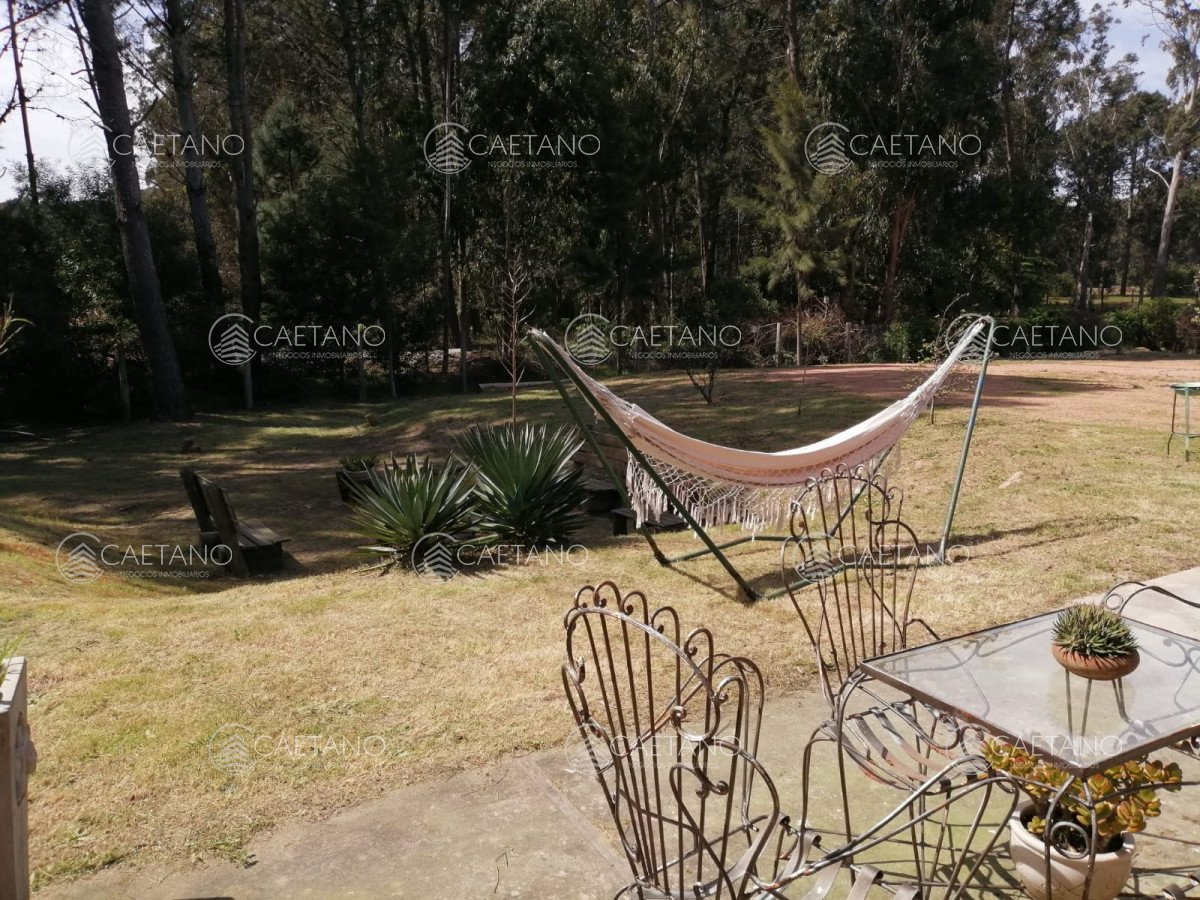 Pinares - GoPunta - Portal Inmobiliario de Punta del Este - Maldonado